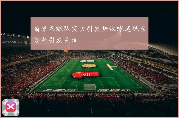 南京网球队实力引发热议球迷观点各异引发关注