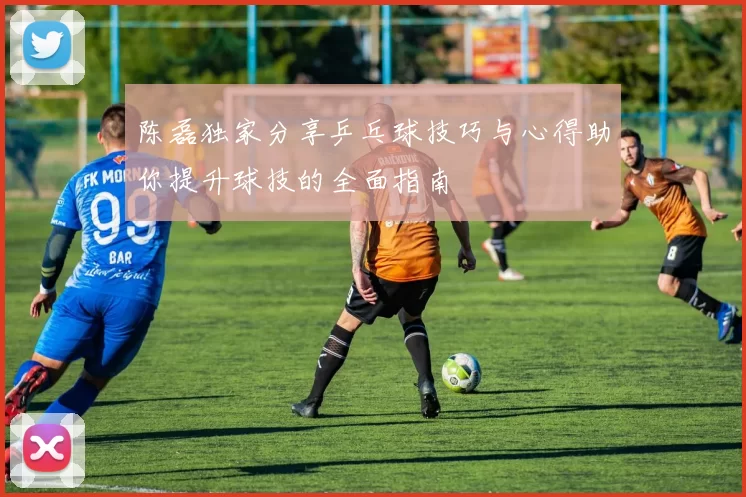 陈磊独家分享乒乓球技巧与心得助你提升球技的全面指南