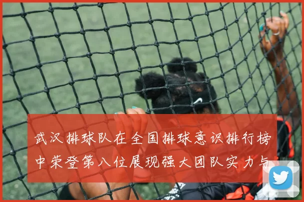 武汉排球队在全国排球意识排行榜中荣登第八位展现强大团队实力与潜力