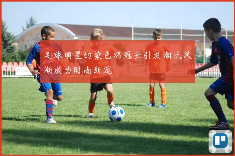 足球明星的染色鸡冠头引发潮流风潮成为时尚新宠