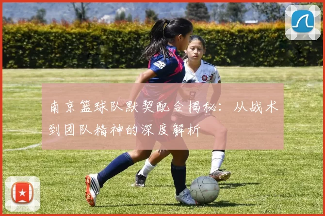 南京篮球队默契配合揭秘：从战术到团队精神的深度解析