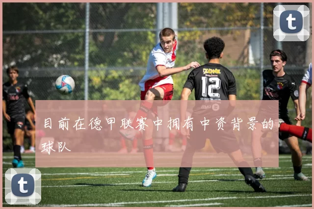 目前在德甲联赛中拥有中资背景的球队