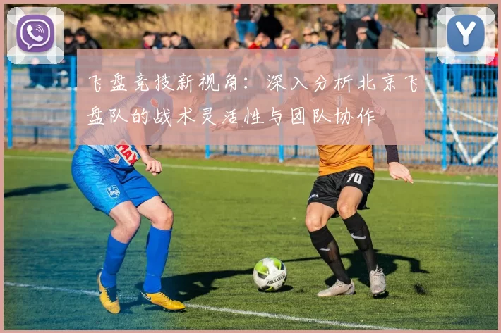 飞盘竞技新视角：深入分析北京飞盘队的战术灵活性与团队协作