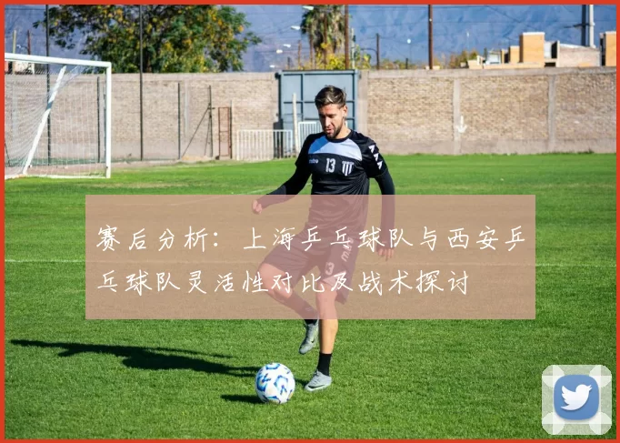 赛后分析：上海乒乓球队与西安乒乓球队灵活性对比及战术探讨
