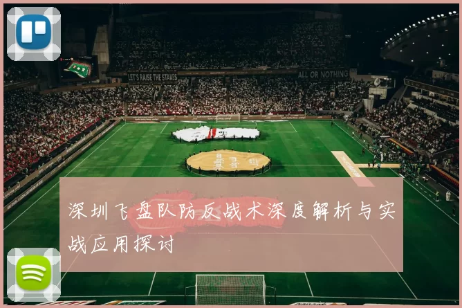深圳飞盘队防反战术深度解析与实战应用探讨