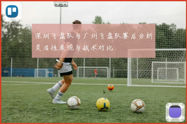 深圳飞盘队与广州飞盘队赛后分析灵活性表现与战术对比