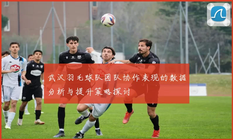 武汉羽毛球队团队协作表现的数据分析与提升策略探讨