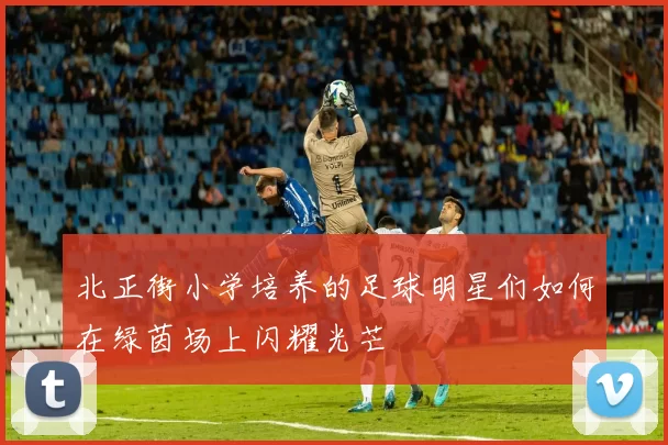 北正街小学培养的足球明星们如何在绿茵场上闪耀光芒