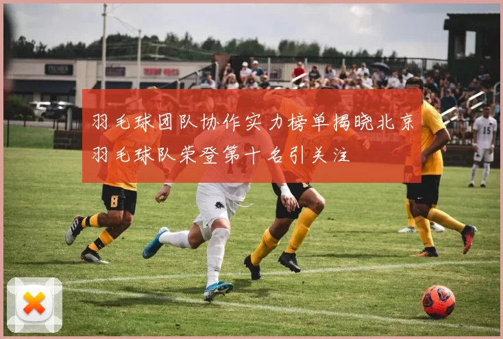 羽毛球团队协作实力榜单揭晓北京羽毛球队荣登第十名引关注