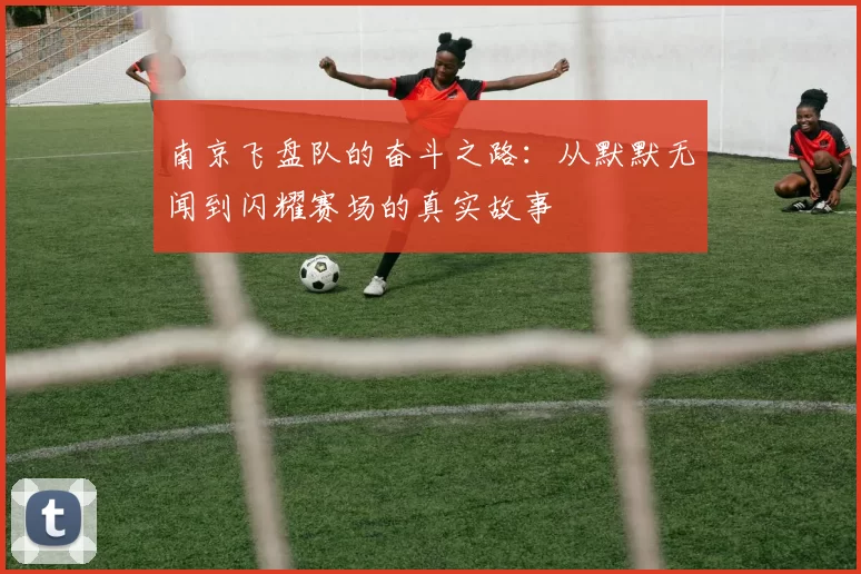 南京飞盘队的奋斗之路：从默默无闻到闪耀赛场的真实故事