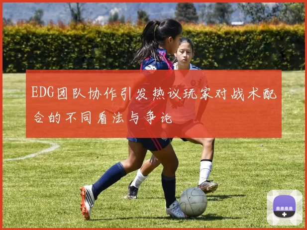 EDG团队协作引发热议玩家对战术配合的不同看法与争论