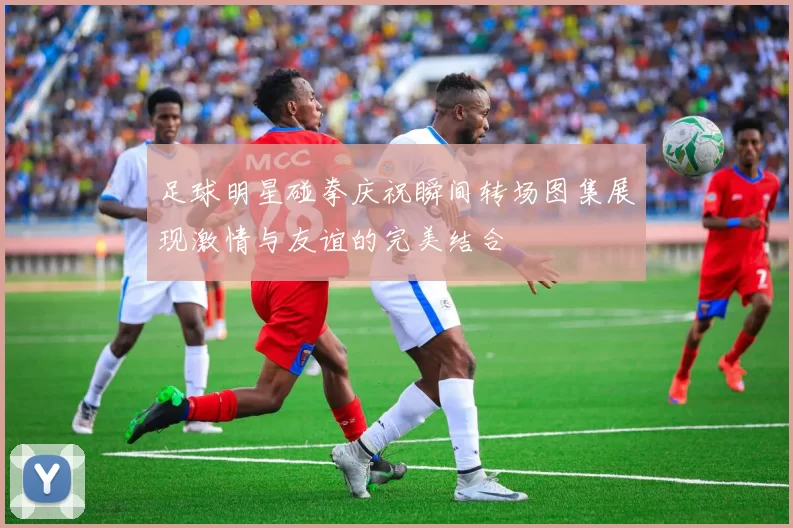 足球明星碰拳庆祝瞬间转场图集展现激情与友谊的完美结合