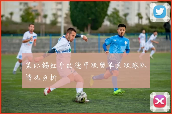 莱比锡红牛的德甲联盟单关联球队情况分析
